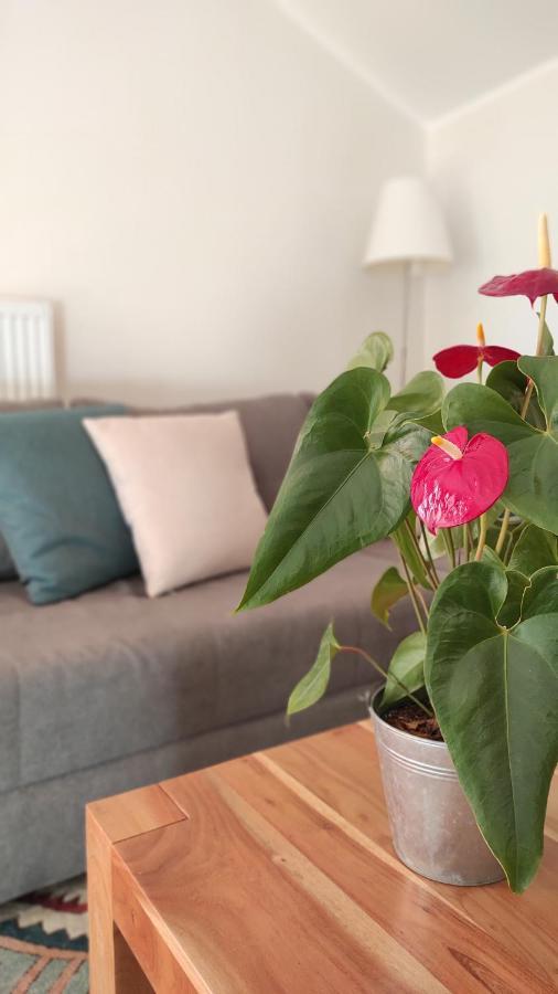 Ferienwohnung Eule Parcines Zewnętrze zdjęcie